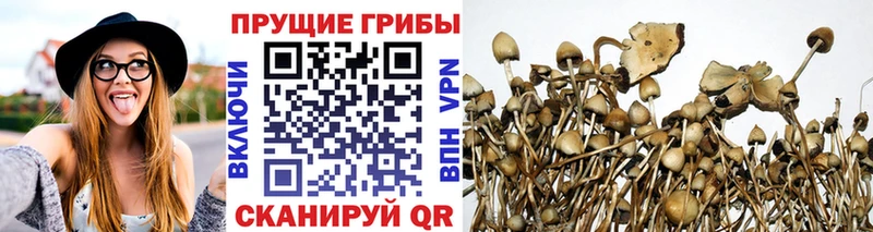 Галлюциногенные грибы GOLDEN TEACHER  MEGA вход  Чапаевск 